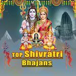 Top Shivratri Bhajans - Sonu Nigam Song Download